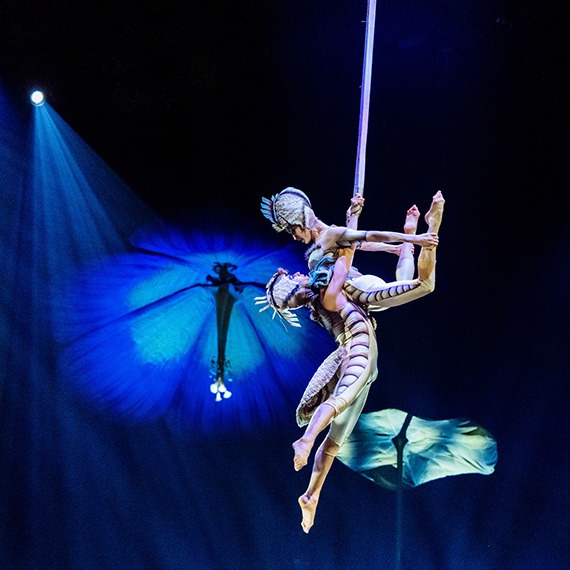OVO du Cirque du Soleil s’installe à Genève au printemps 2027