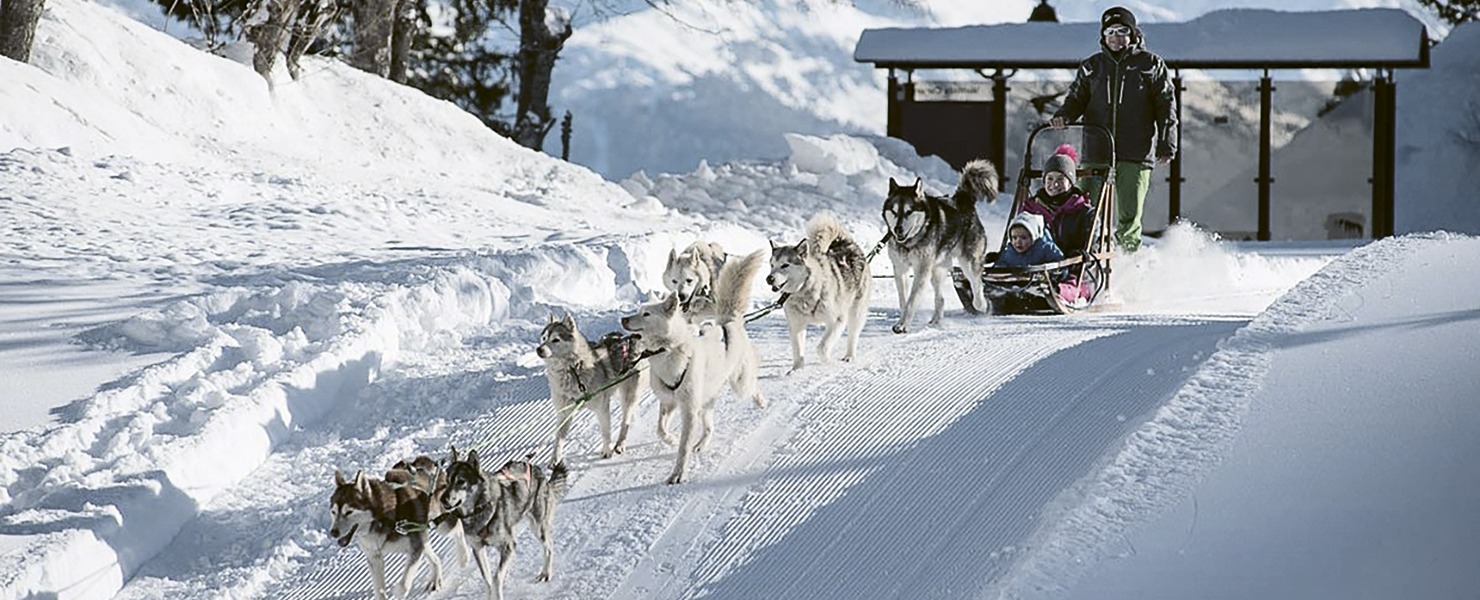 L’Espace Glacier, aux confins du Grand Nord