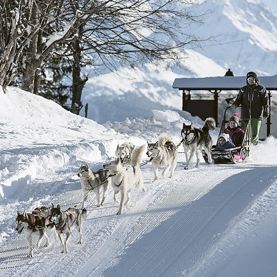 L’Espace Glacier, aux confins du Grand Nord