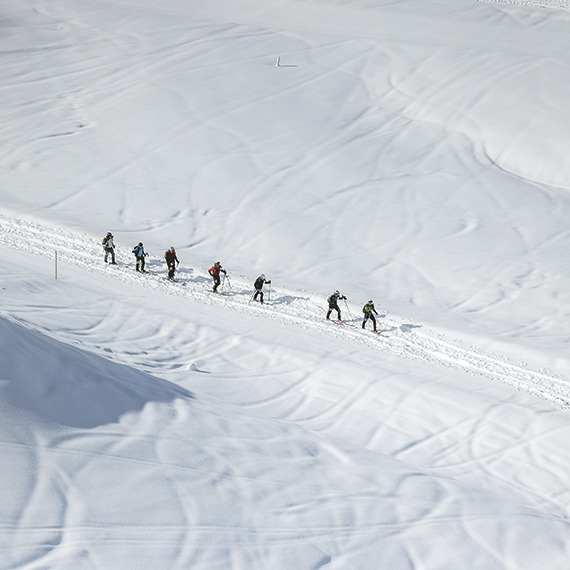 Qui sera à la hauteur?