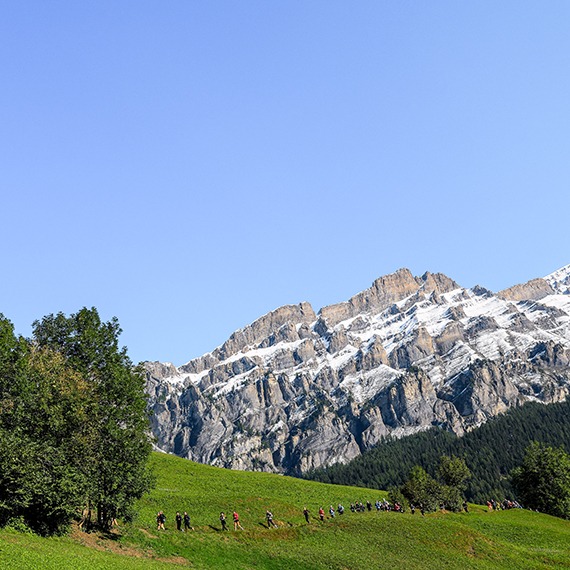 Wildstrubel by UTMB