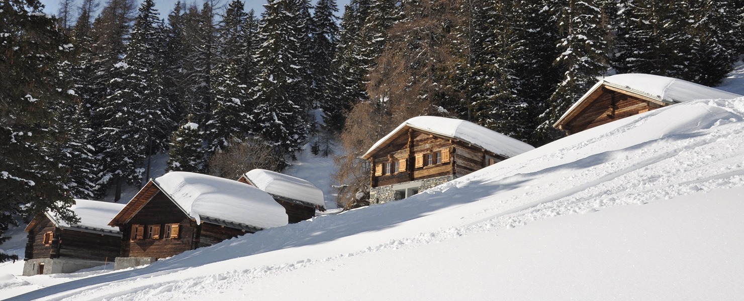 Raclette and snowshoes
