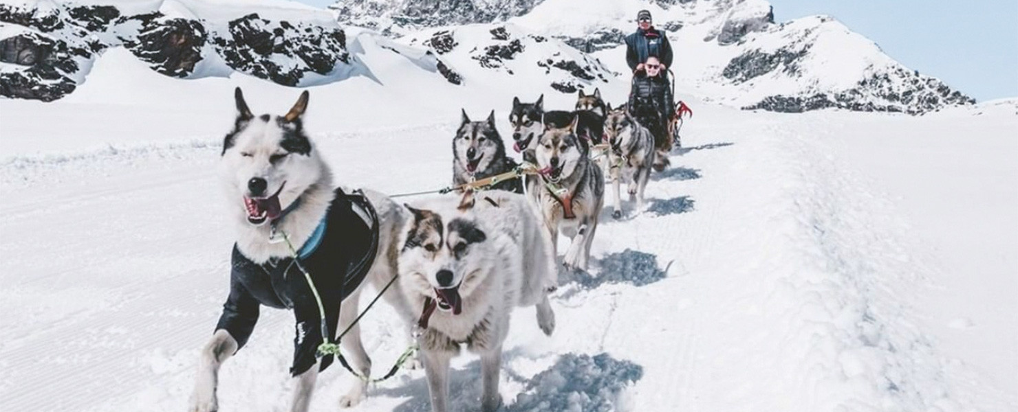 MATTERHORN HUSKY SLEIGH RIDES