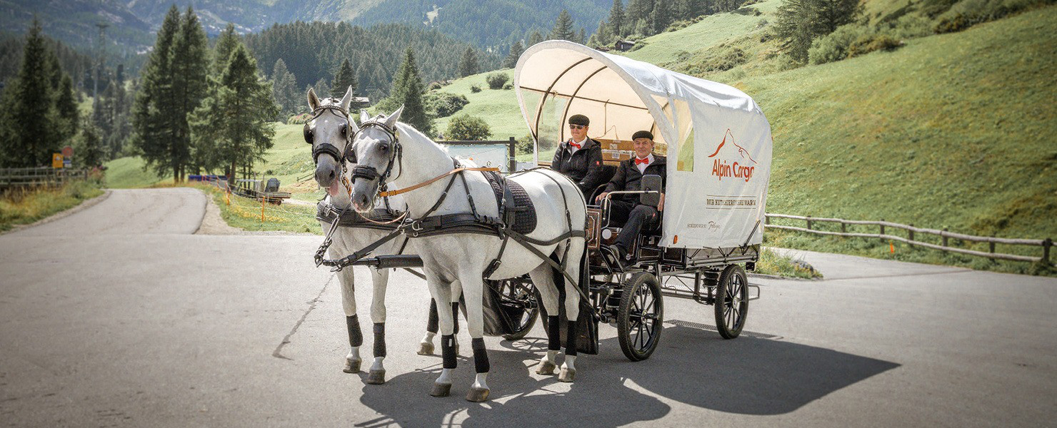 Horse Mail