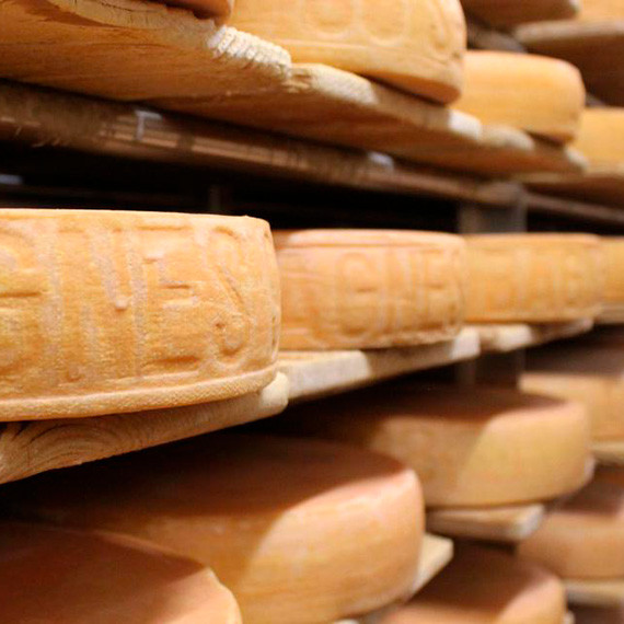 RACLETTE AT ANY TIME