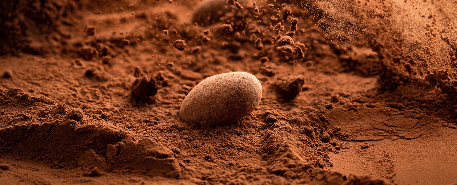 Chocoholic Headquarters