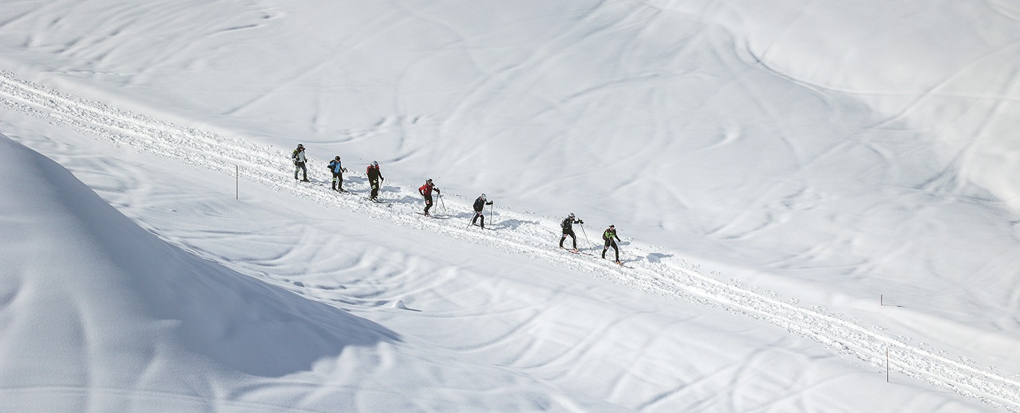 Qui sera à la hauteur?