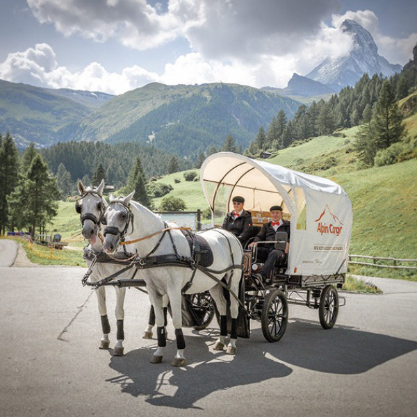 Horse Mail