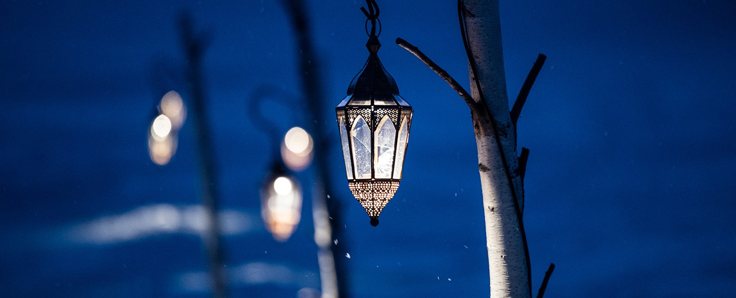 The Lantern Path